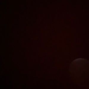 Meet your Posher, Starasia